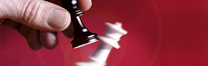 Seminar Durchsetzungsstrategien
